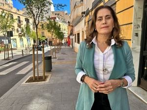 El PSOE califica el GRIP como cortina de humo para tapar el malestar por el vandalismo