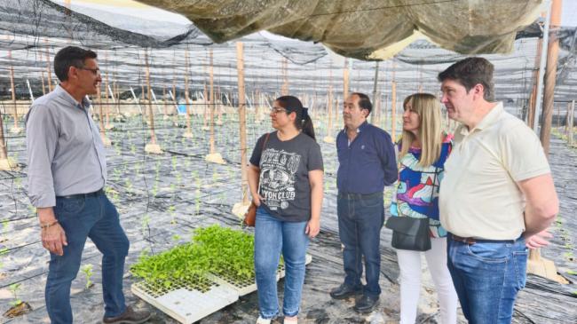 El PSOE reprocha al alcalde de Dalías no pida a la Junta rebajas fiscales por la DANA
