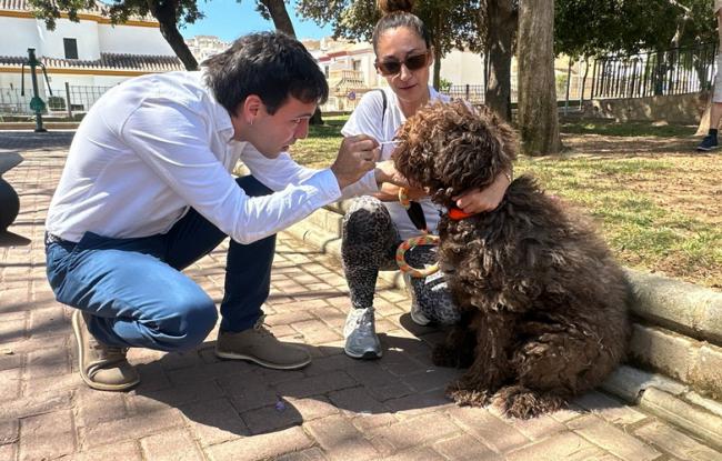 Huércal de Almería amplía la campaña de ADN canino tras gran acogida vecinal