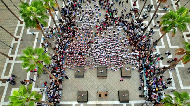 Un gran flashmob y una original lectura de manifiesto ‘pintan’ de flamenco la Plaza Mayor