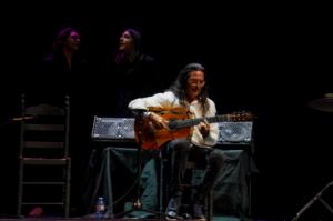La IV Gala del Día del Flamenco en Andalucía lleva lo mejor de este arte a El Ejido