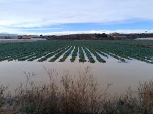 La inversión en restauración fluvial en Almería alcanza los 16,5 millones de euros en 2025