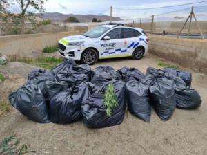 Descubren más de 700 plantas de marihuana mientras rescataban perros en Almería