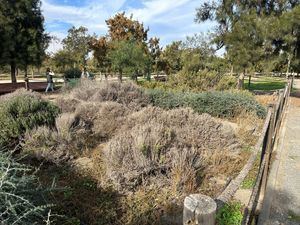 El Parque del Andarax, en estado crítico por falta de cuidados