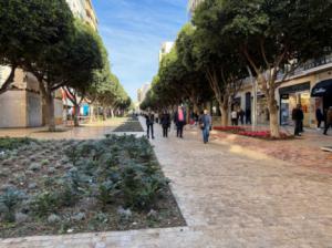 Almería Centro solicita medidas para minimizar el impacto del retraso de las obras del Pase