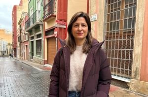 PSOE: Más del 50% de la capital está en situación crítica en materia comercial