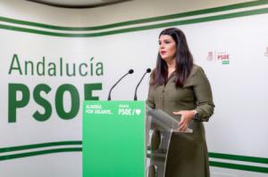 El PSOE reclama la implicación de la Diputación ante el deterioro del Hospital La Inmaculada