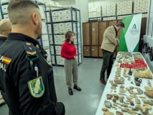 Almería recupera un tesoro arqueológico de más de 800 piezas