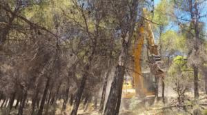 Protección forestal con más de 500 hectáreas de cortafuegos en la Sierra de Gádor