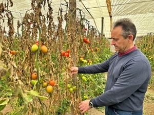 El PSOE reclama que la Junta de Andalucía incluya a Almería en las ayudas por el temporal