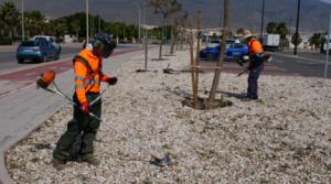 DUE aprueba inversiones para mejorar El Ejido