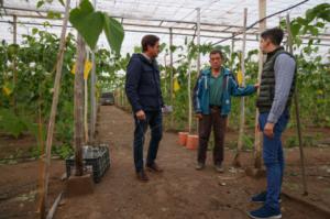 El Ejido indignado ante una rebaja fiscal del Gobierno que ignora a casi toda su horticultura