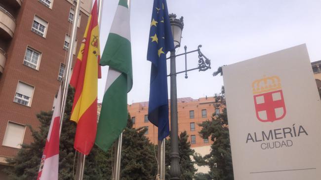El Ayuntamiento se pone a disposición del Juzgado por la palmera caída