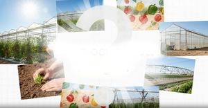 Así de bien le ha sentado a Almería la Autonomía