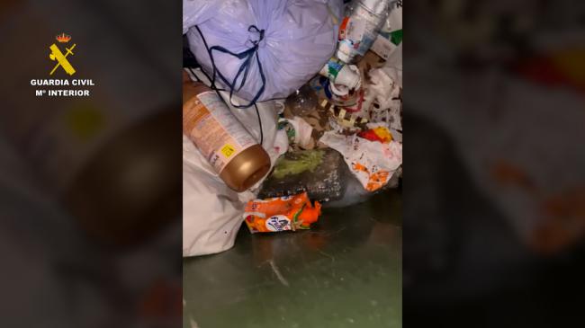 La Guardia Civil investiga maltrato animal por nueve cachorros en un contenedor de Pechina