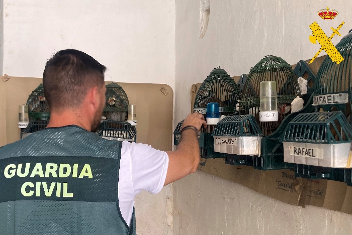 Detenidos autores de varios robos en Almanzora