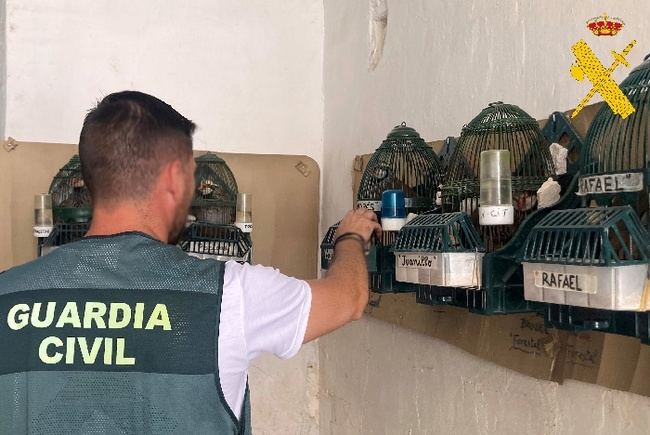 Detenidos autores de varios robos en Almanzora