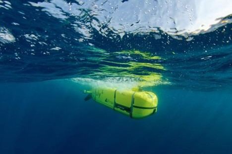 Encuesta de la UE sobre observación oceánica: comparte tus opiniones antes del 15 de septiembre