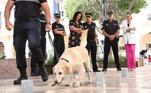 La Policía Local estrenará una Unidad Canina en Dreambeach