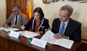 UGT vigilará que Cemex y Gobierno cumplan el plan de reindustrialización de Gádor