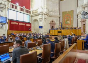 El "paro" de sus señorías almerienses