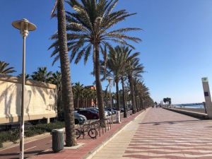 El PP insta al Gobierno a dar una fecha para la reanudación del paseo marítimo de Almería