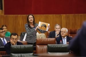 El PP desvela artimañas del Gobierno andaluz para quitar la gestión de comedores a los padres