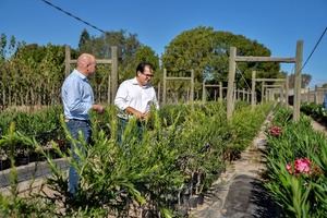 El Plan Savia de Diputación reparte 36.321 plantas a los ayuntamientos