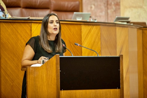 Jurado (PP): “El Gobierno andaluz trabaja para salvar vidas”