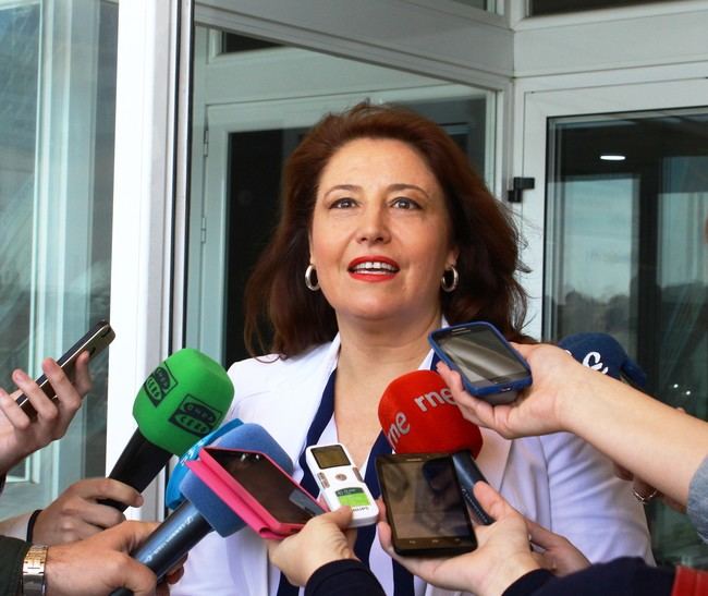 Crespo lleva la crisis ferroviaria a la Comisión Europea