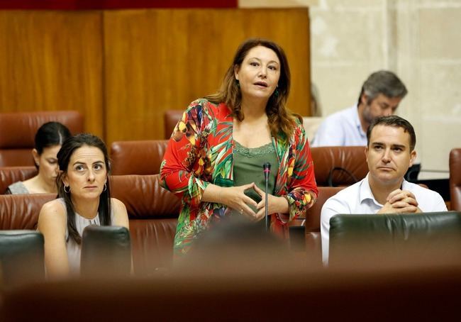 Proyecto, presupuesto y terrenos hace 10 años pero Roquetas sigue sin hospital