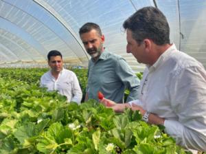 La Junta amplía ayudas agroambientales para llegar a más solicitantes