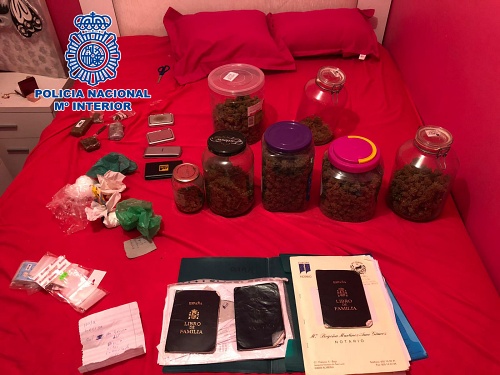 Tres registros y desmantelada una plantación de marihuana in door