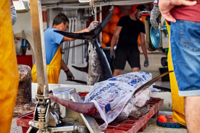 La falta de servicio médico paraliza la pesca en Carboneras