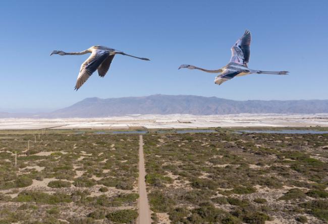 El Ejido también es naturaleza