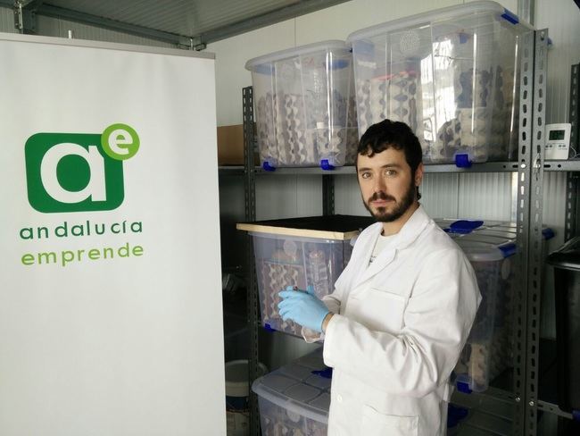 La Junta contribuye a crear 15 nuevas empresas y 20 empleos a través del CADE de Níjar