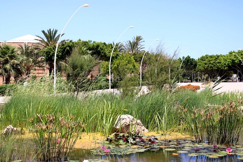 El Jardín Botánico de la UAL forma ya parte de la Asociación Ibero-Macaronésica de Jardines Botánicos
