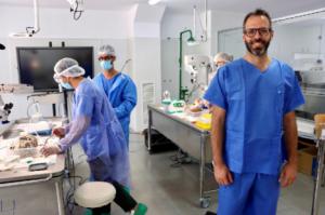 Medicina de la UAL se proyecta con formación específica hasta los residentes de Torrecárdenas y Poniente