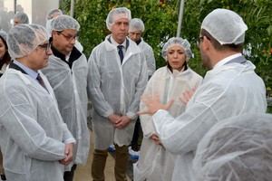 La UAL inaugura AgroConnect como centro de producción sostenible en invernadero