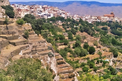 “Almería está llena de Patrimonio de la Humanidad y lo ha olvidado”