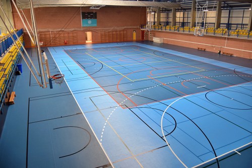 UAL Deportes multiplica salidas profesionales con su oferta de titulaciones