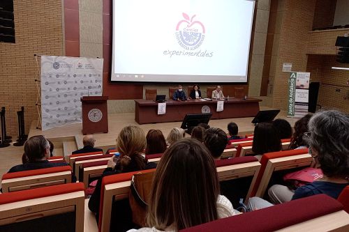 Casi un centenar de profesores de Matemáticas actualizan la ‘enseñanza-aprendizaje’