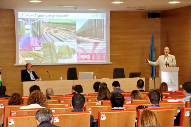 La UAL acoge la cumbre de desalación de la Estrategia Andaluza de Economía Azul Sostenible