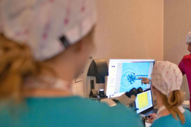 Casi una veintena de estudiantes se forman en tratamientos y técnicas innovadoras en reproducción asistida