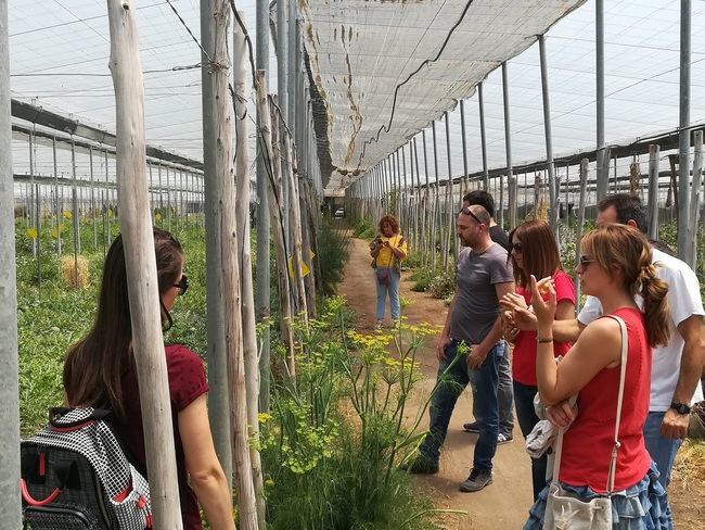 La Junta forma en producción ecológica a jóvenes agricultores