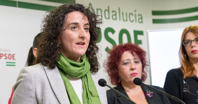 El PSOE reprocha a Amat que no cumpla lo acordado en pleno para defender los derechos del colectivo LGTBI