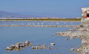 Itinerario por la biodiversidad en los humedales del Poniente almeriense