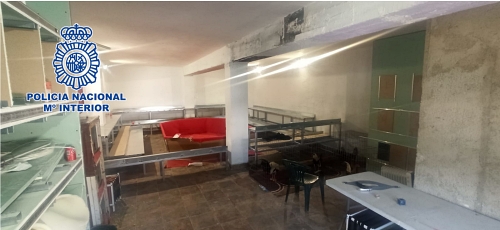 Detenido un 'profesional' de las peleas de gallos 