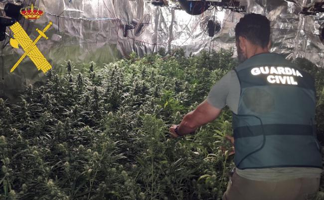 Okupa una nave y pone un plantación de marihuana