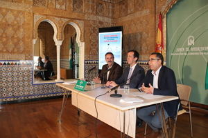 XI Maratón de Donación de Sangre y Plasma de Almería